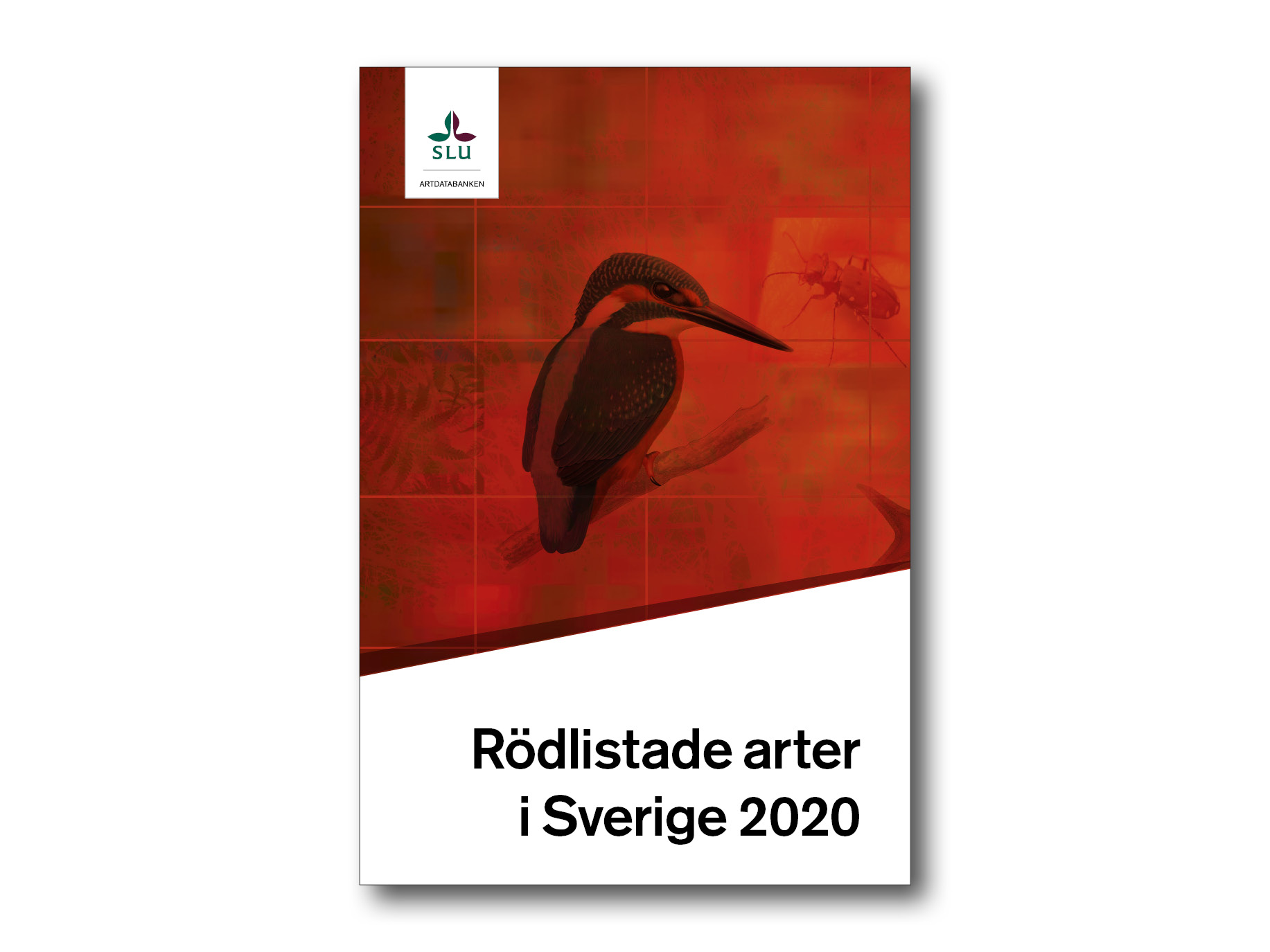 Omslag Rödlista 2020 där fågeln Kungsfiskare är rödtonad mot rött. Grafik