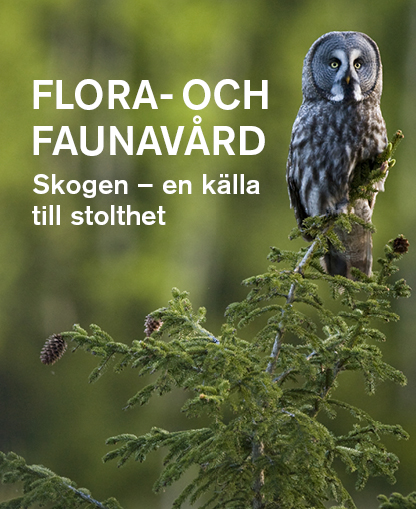 Flora- och faunavård: Skogen – en källa till stolhet. Grafik